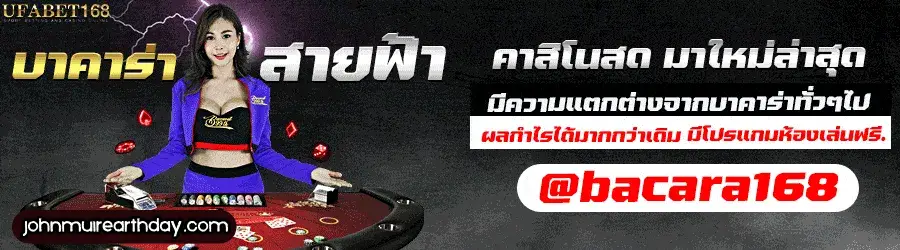 บาคาร่าสายฟ้า evolution
